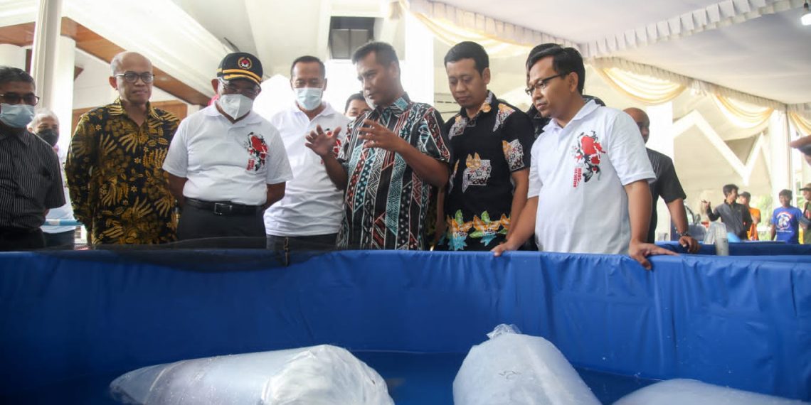 Menko PMK: Budidaya Ikan dan Perdagangan Koi Bisa Kurangi Kemiskinan